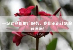 一站式竞价推广服务，我们承诺让您收获满满！