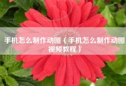 手机怎么制作动图（手机怎么制作动图视频教程）