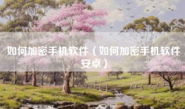 如何加密手机软件（如何加密手机软件安卓）