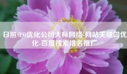 日照SEO优化公司大标网络-网站关键词优化-百度搜索排名推广