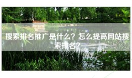 搜索排名推广是什么？怎么提高网站搜索排名？