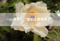 vivo发布！“蓝心大模型来了”