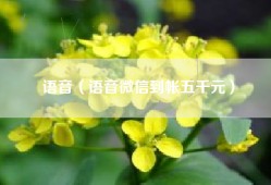 语音（语音微信到帐五千元）