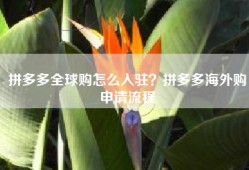 拼多多全球购怎么入驻？拼多多海外购申请流程