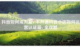 抖音如何成为蓝V 不开通抖音小店如何运营认证蓝v 全攻略