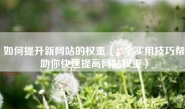 如何提升新网站的权重（15个实用技巧帮助你快速提高网站权重）
