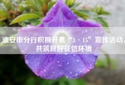 淮安市分行积极开展“3·15”宣传活动，共筑良好征信环境