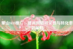 蒙山SEO推广：提高网络可见性与转化率的策略