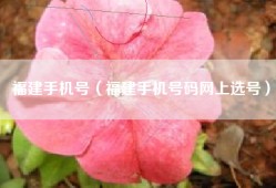 福建手机号（福建手机号码网上选号）