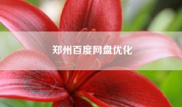 郑州百度网盘优化