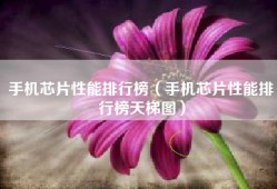 手机芯片性能排行榜（手机芯片性能排行榜天梯图）
