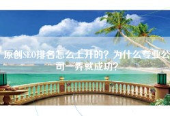 原创SEO排名怎么上升的？为什么专业公司一弄就成功？