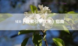 SEO（搜索引擎优化）指南