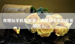 夜晚玩手机的危害（夜晚玩手机的危害图片）