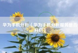 华为手机分析（华为手机分析服务是否开启）