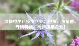读懂中小科技型企业：瞪羚、独角兽、专精特新、高新技术企业！