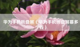 华为手机折叠屏（华为手机折叠屏幕多少钱）