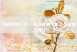 语音唤醒手机（语音唤醒手机怎么设置荣耀）