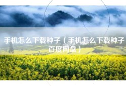 手机怎么下载种子（手机怎么下载种子百度网盘）