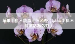 苹果手机不能激活怎么办（iphone手机不能激活怎么办）