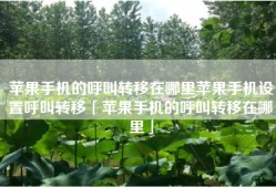 苹果手机的呼叫转移在哪里苹果手机设置呼叫转移「苹果手机的呼叫转移在哪里」