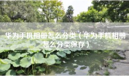 华为手机相册怎么分类（华为手机相册怎么分类保存）