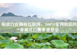 拍卖行业拥抱互联网，360PAI全网联拍共享模式打破多重壁垒
