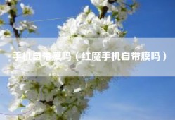 手机自带膜吗（红魔手机自带膜吗）