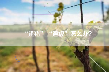 “逢猪”“遇虎”怎么办？