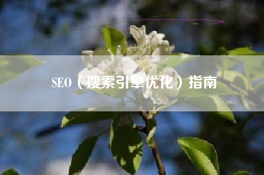 SEO（搜索引擎优化）指南