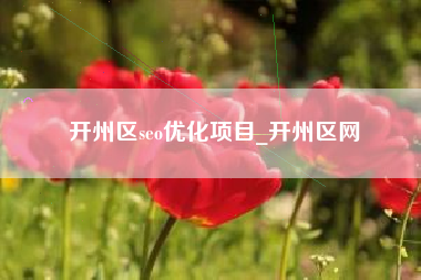 开州区seo优化项目_开州区网