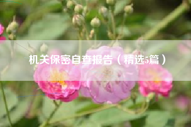 机关保密自查报告（精选5篇）