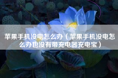苹果手机没电怎么办（苹果手机没电怎么办也没有带充电器充电宝）