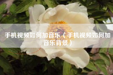 手机视频如何加音乐（手机视频如何加音乐背景）