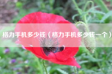 格力手机多少钱（格力手机多少钱一个）