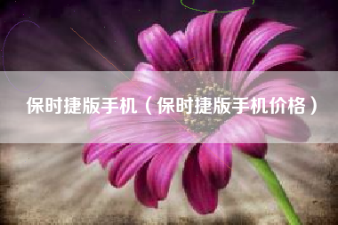 保时捷版手机（保时捷版手机价格）