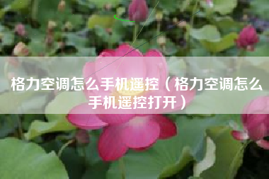 格力空调怎么手机遥控（格力空调怎么手机遥控打开）
