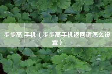 步步高 手机（步步高手机返回键怎么设置）