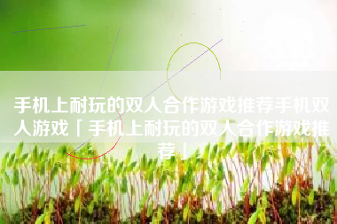 手机上耐玩的双人合作游戏推荐手机双人游戏「手机上耐玩的双人合作游戏推荐」