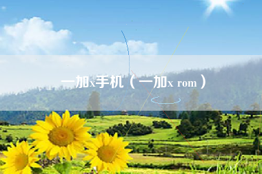 一加x手机（一加x rom）